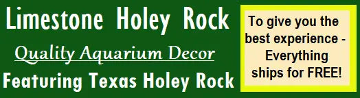 Advertising logo for Limestone Holey Rock, aquarium decor store 