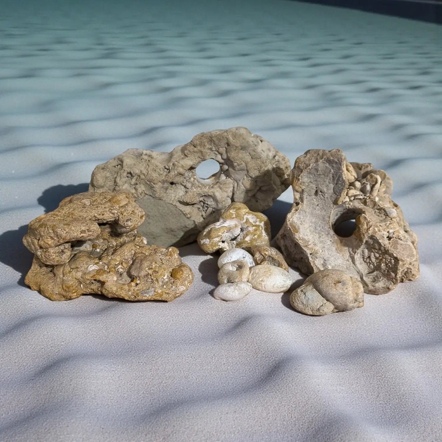 Home aquarium decorations sitting on sand