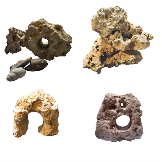 Several large pieces of Limestone Holey Rock displayed on a solid white background.