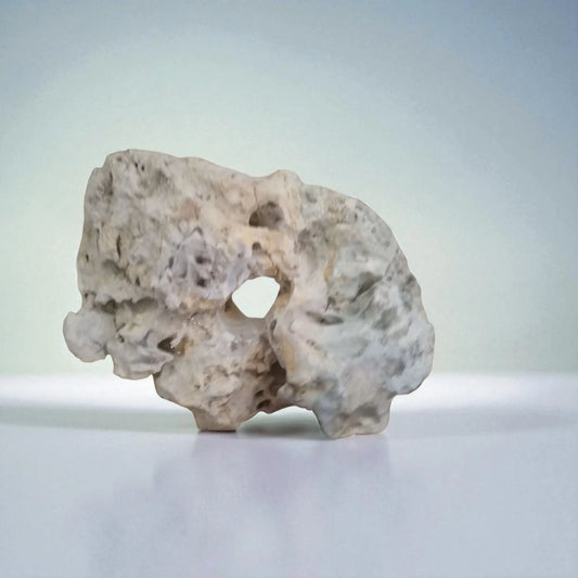 A Limestone Cneterpiece Rock on display
