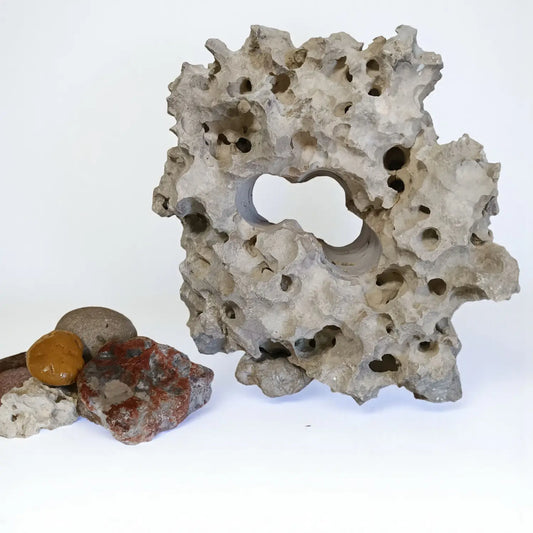 A large Texas Holey Rock aquarium centerpiece displayed with small accent rocks in front of a white background