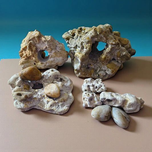 A group of rocks on tan sand