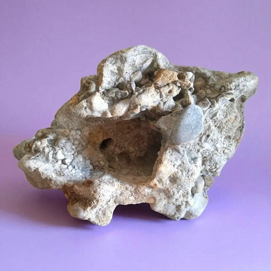 A large Conglomerate Rock for decorating Home Aquariums on a lavender background.