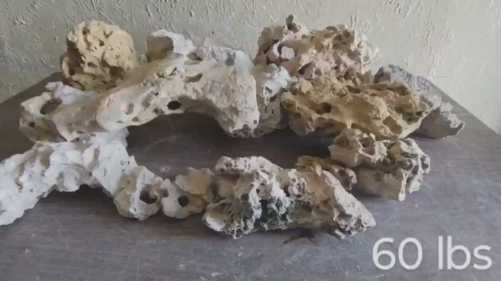 A video of 60 lbs. of Texas Holey Rock for Fish Tanks