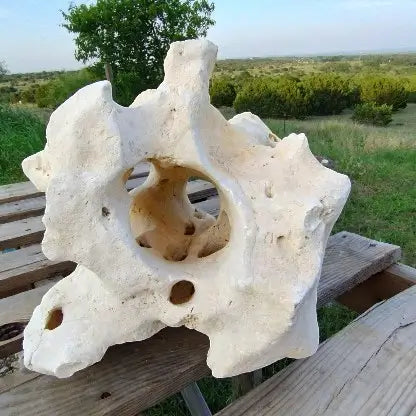 A rock with holes for fish to swim through sitting outside on a wooden crate.