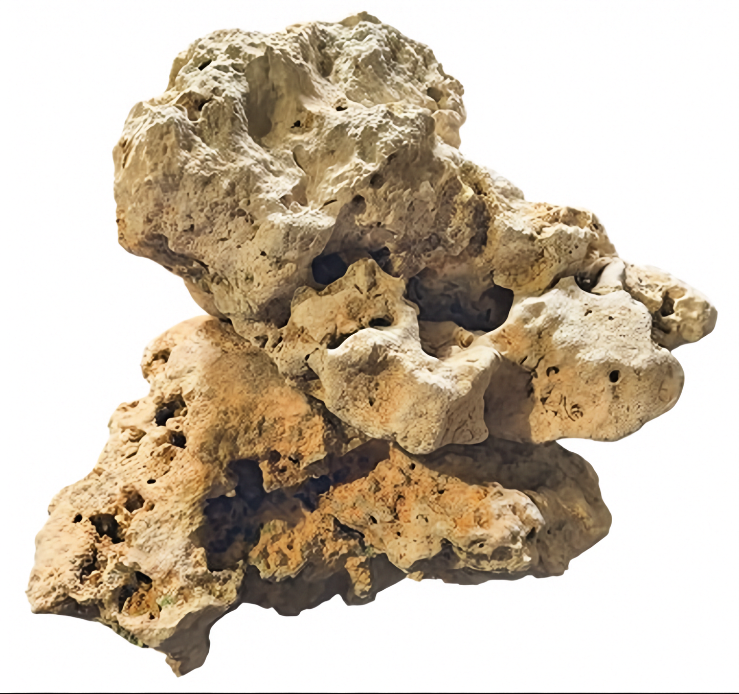 Two large pieces of Texas Holey Rocks stacked on top of each other on a white background.