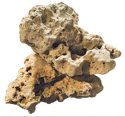 Two large pieces of Texas Holey Rocks stacked on top of each other on a white background.