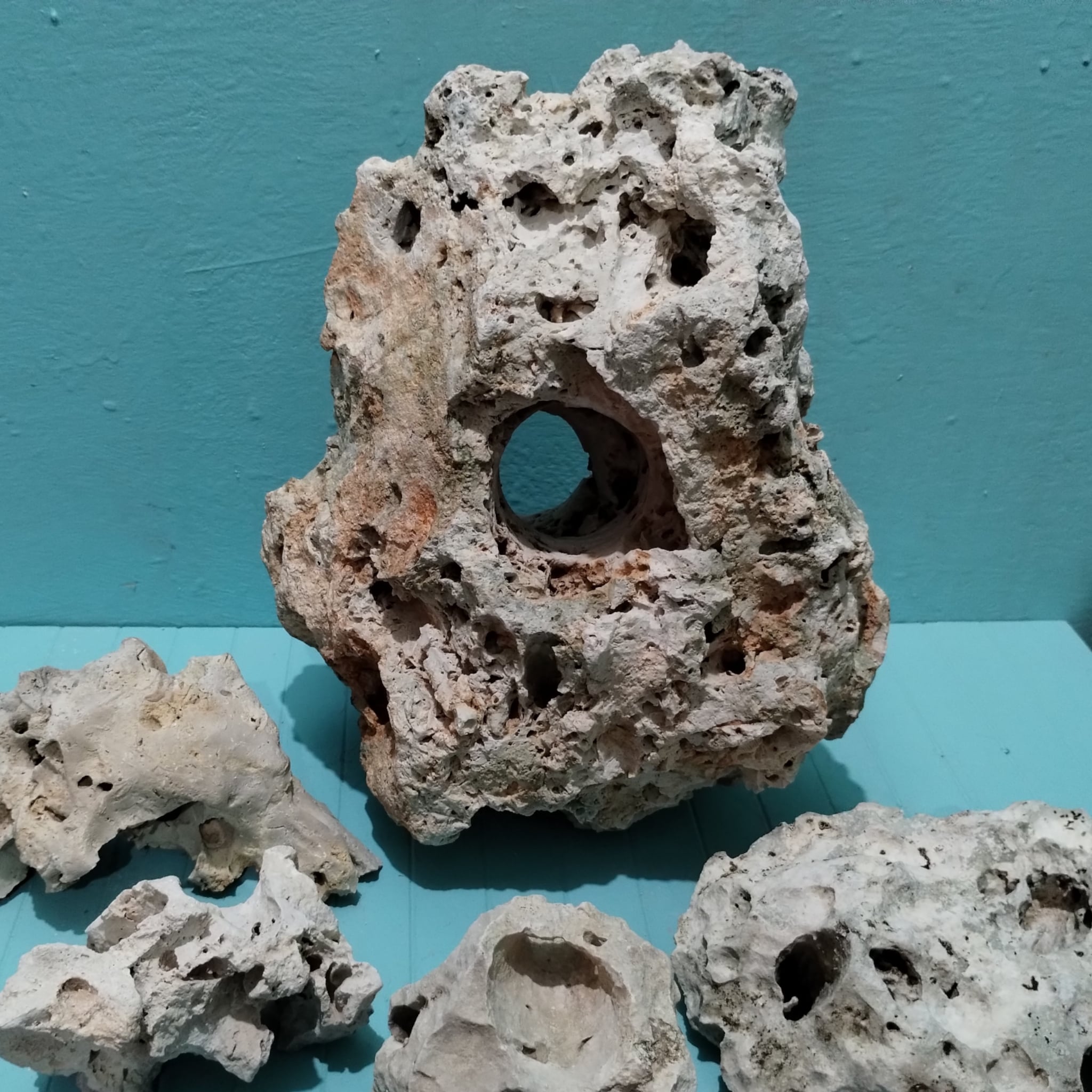 Texas Holey Rock Centerpiece for Aquariums – Limestone Holey Rock