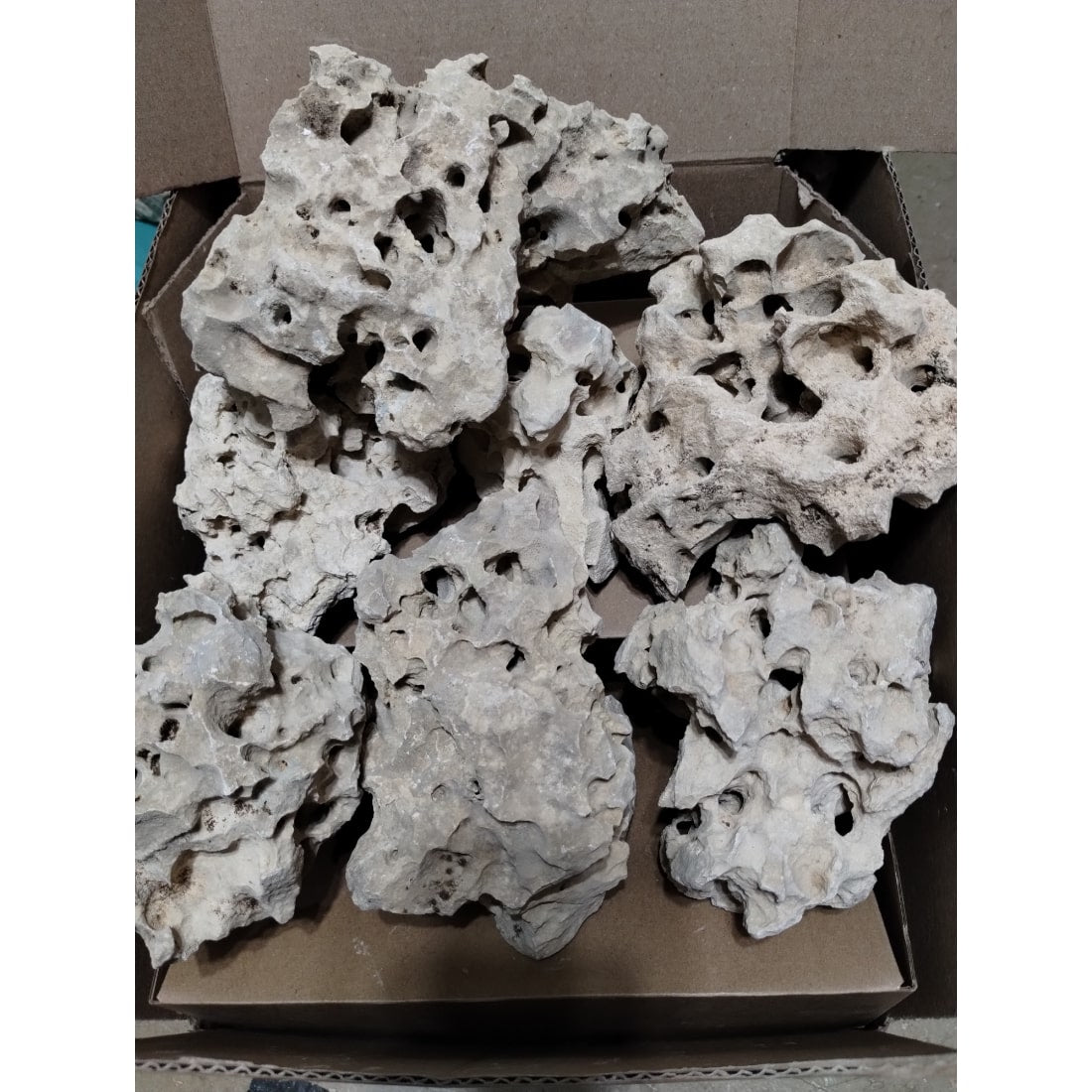 Texas Holey Rock by the Pound – Limestone Holey Rock