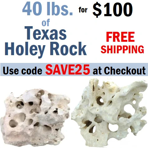 Advertisement for 40 pounds of Texas Holey Rock on sale for $100 with free shipping
