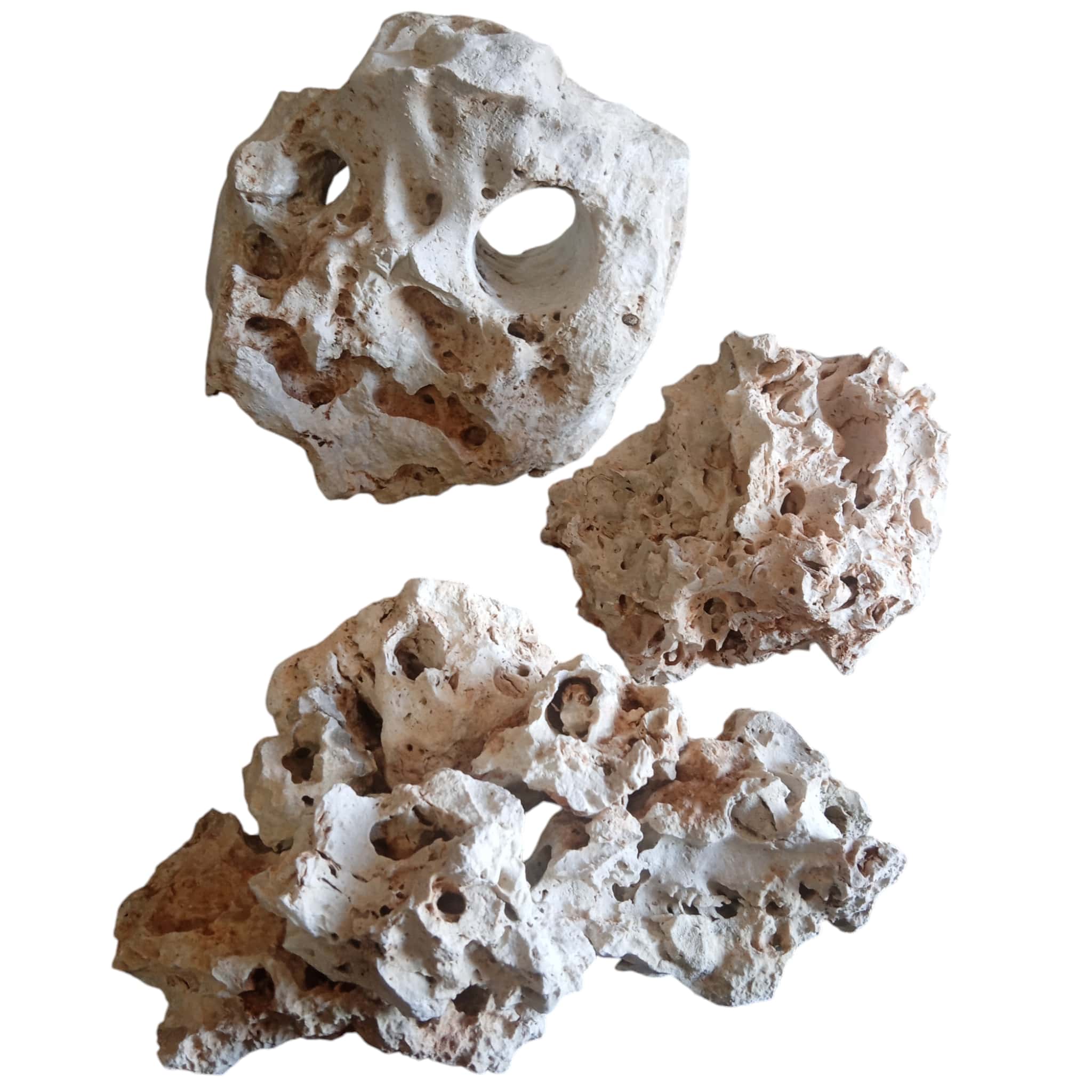 Aquarium Rocks Texas Limestone for Cichlid Fish – Limestone Holey Rock
