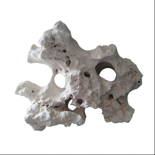 A decorative white Texas Holey Rock for aquariums on a white background.