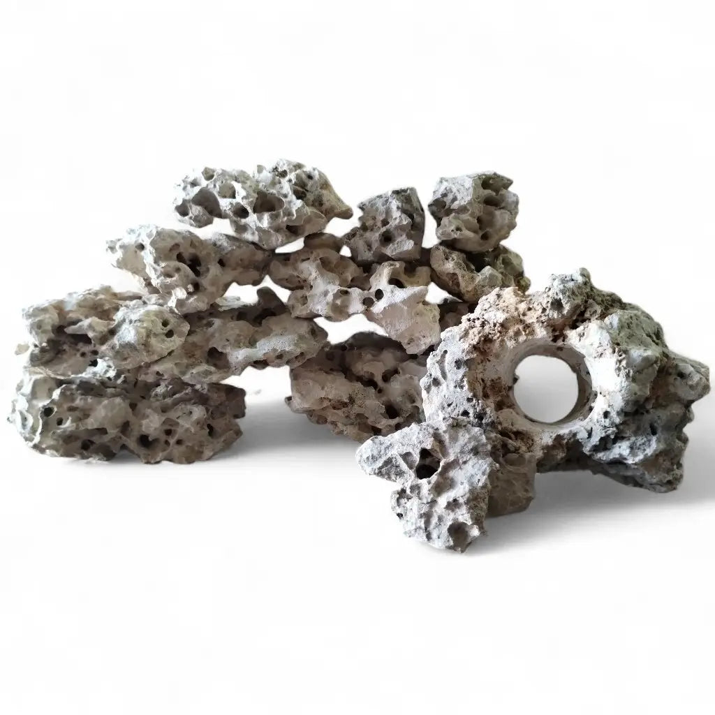 40 pounds of Texas Holey Rock for home aquariums on a white background