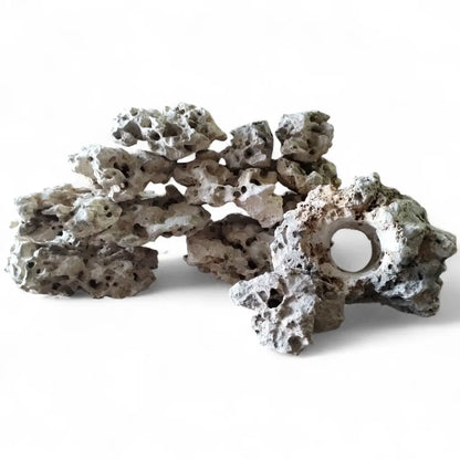 40 pounds of Texas Holey Rock for home aquariums on a white background