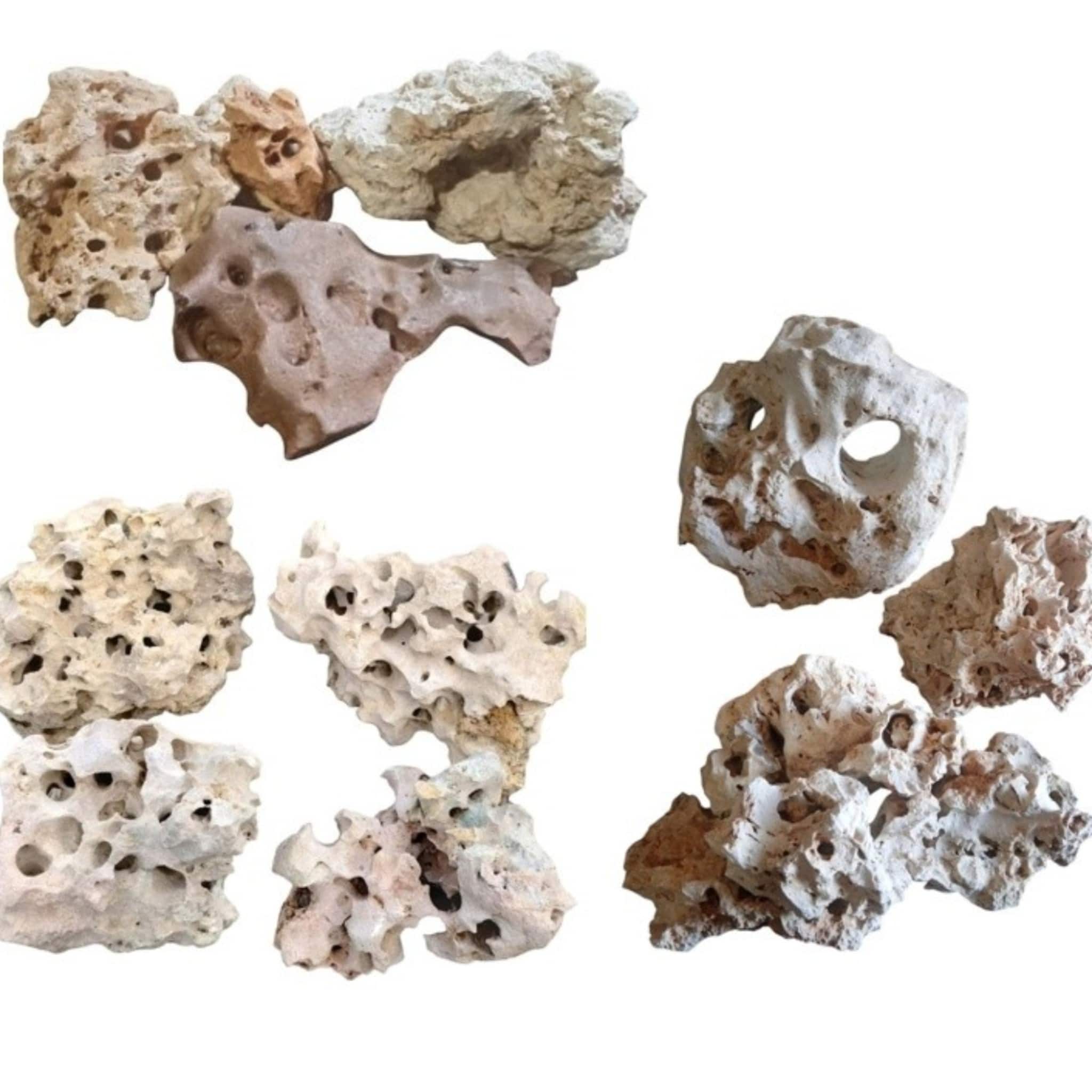 Texas Limestone Holey Rock Centerpiece & Bundles Gallery