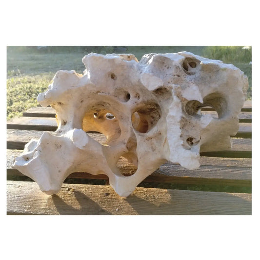 HR10 Texas Holey Rock Boulder