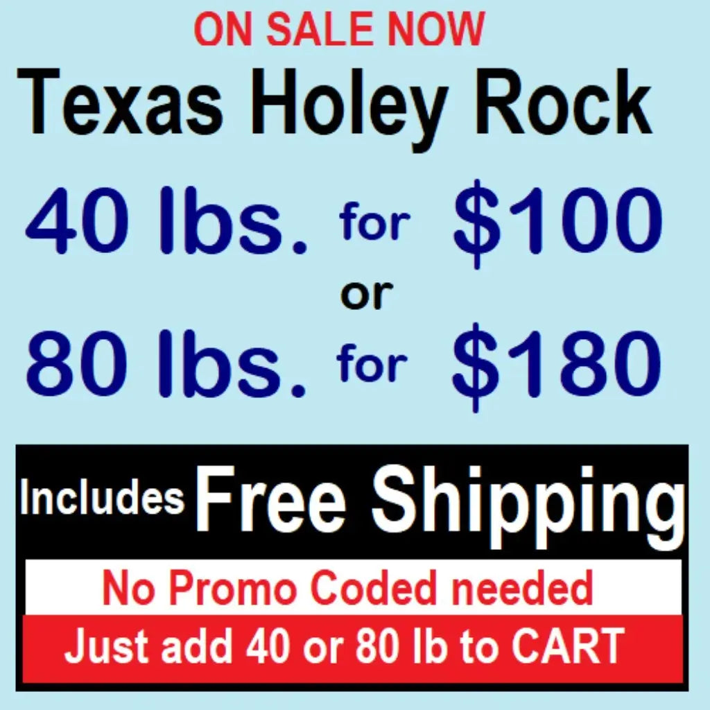 Advertisement for Texas Holey Rock with pricing and free shipping offer on a blue background