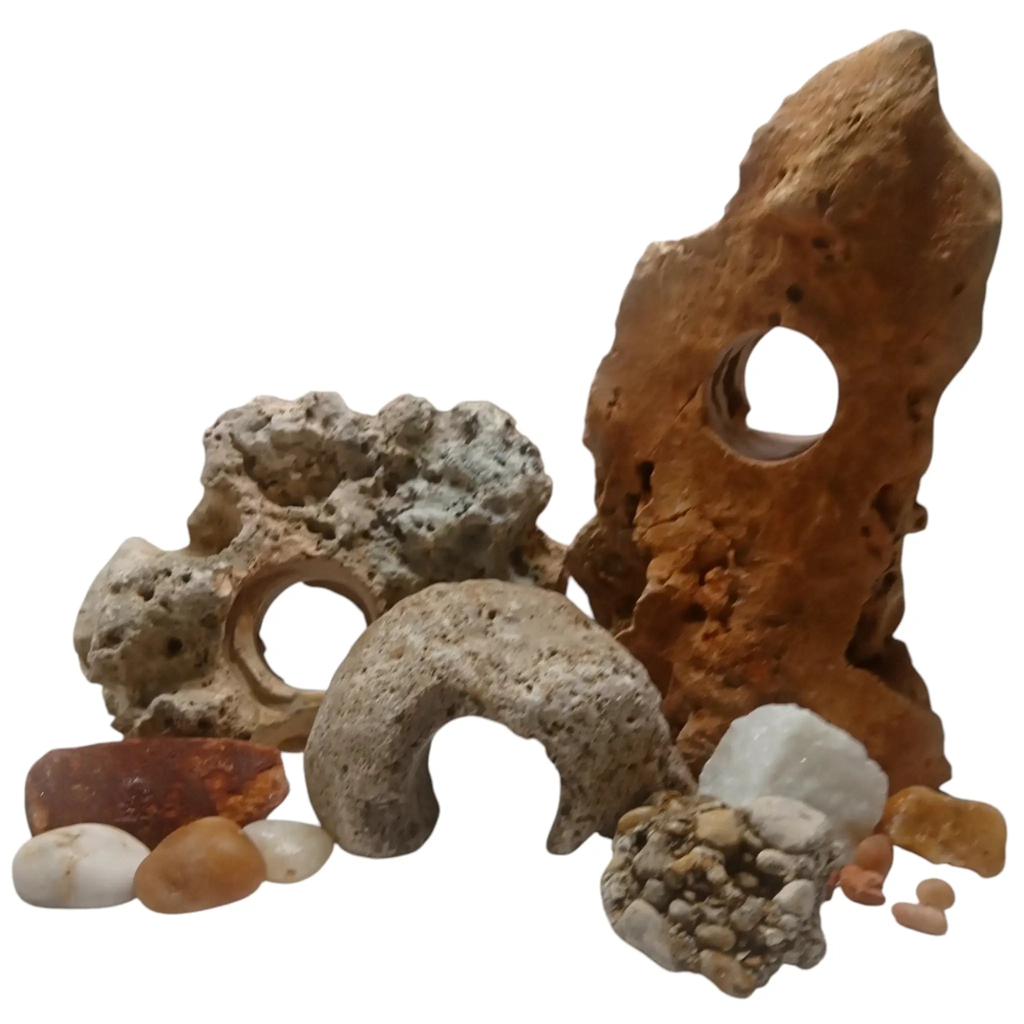 An assorted group of Texas Limestone rocks with holes on a white background
