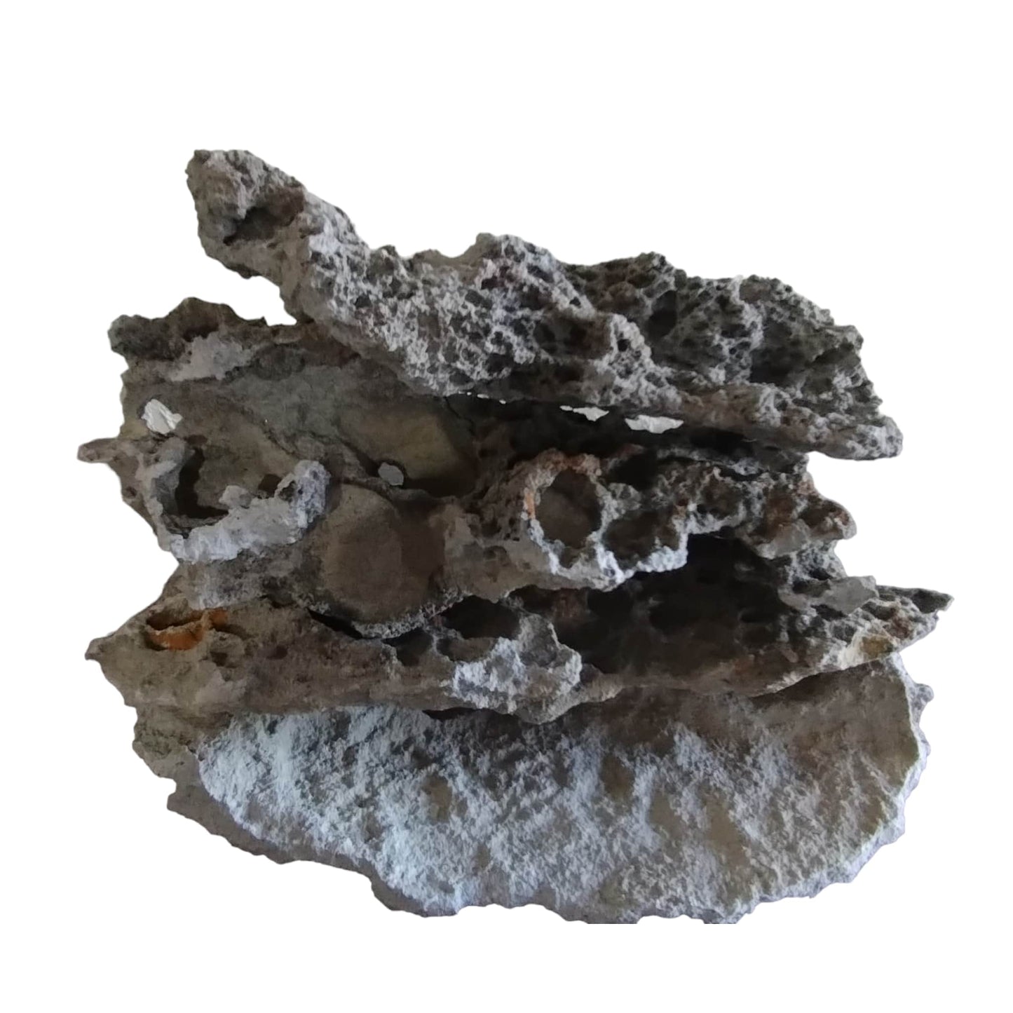 Texas Lace Rock on display