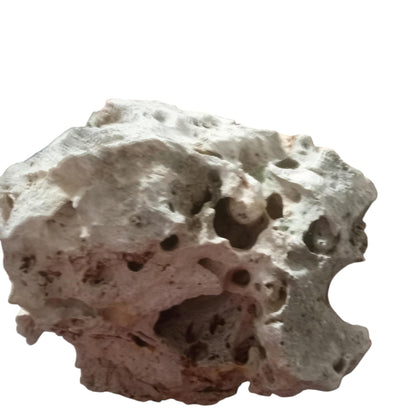 A Texas Holey Rock on display