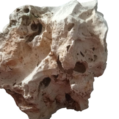 The back side of a Texas Holey Rock on display