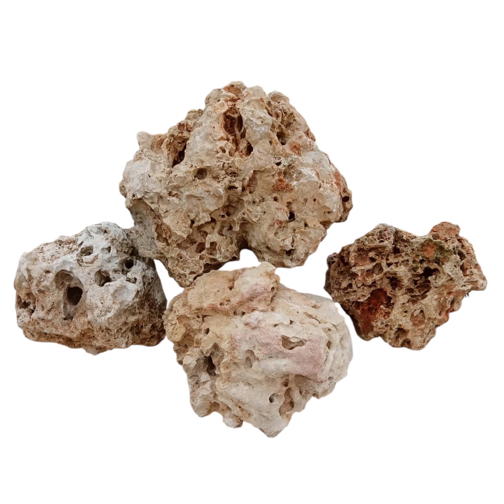 Texas Holey Rock Kits for Home Aquariums – Limestone Holey Rock