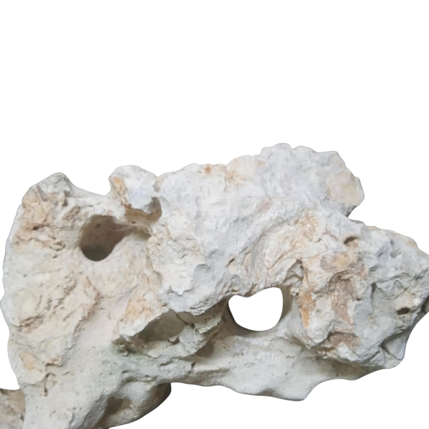 A white rock for Fish Tanks