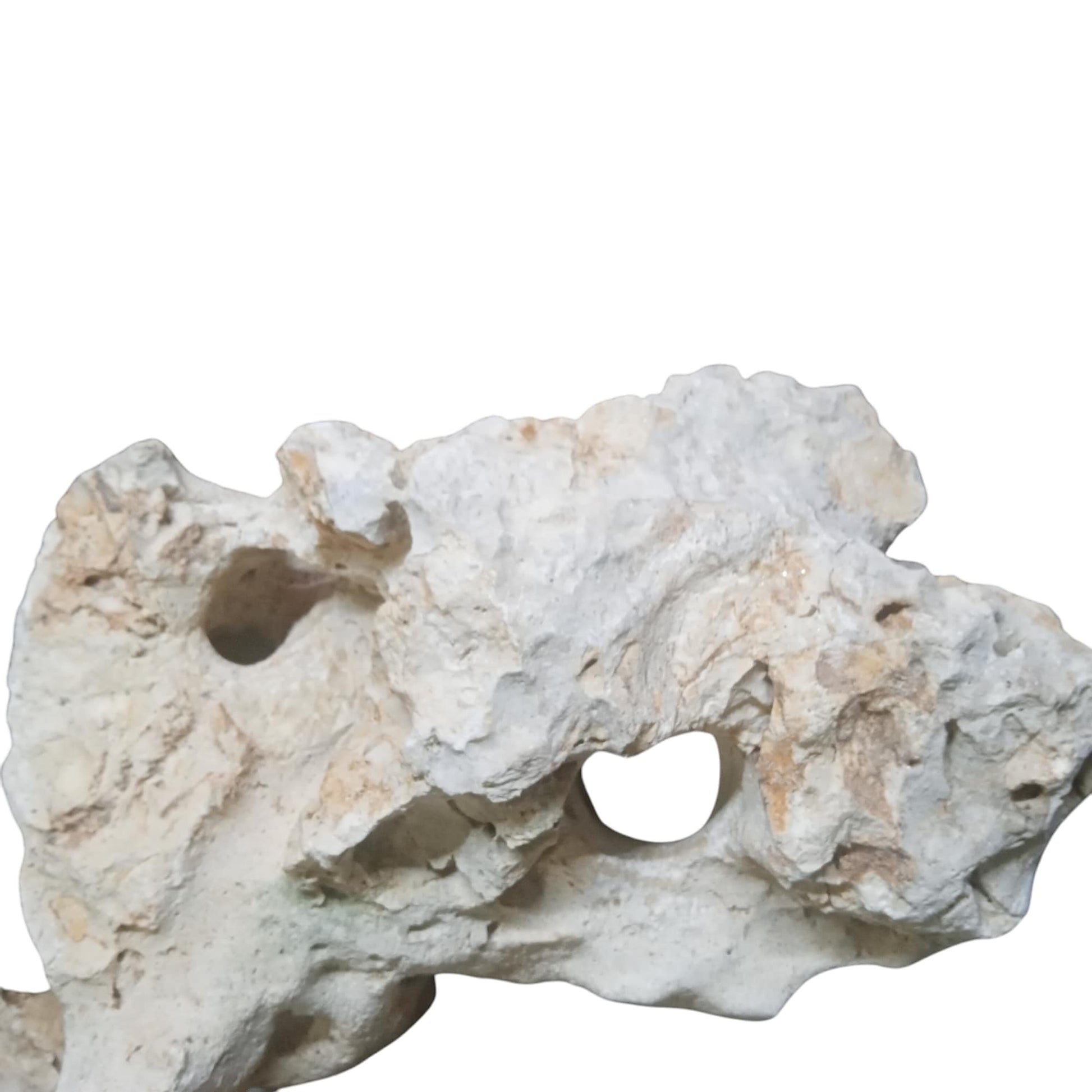 A white rock for Fish Tanks