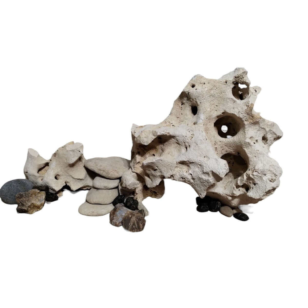 Texas Limestone Holey Rock Centerpiece & Bundles Gallery