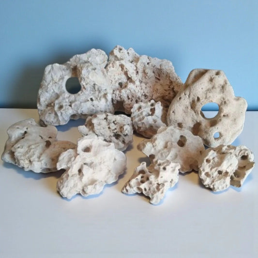40 pounds of Limestone Holey Rock displayed on a white surface with a blue background